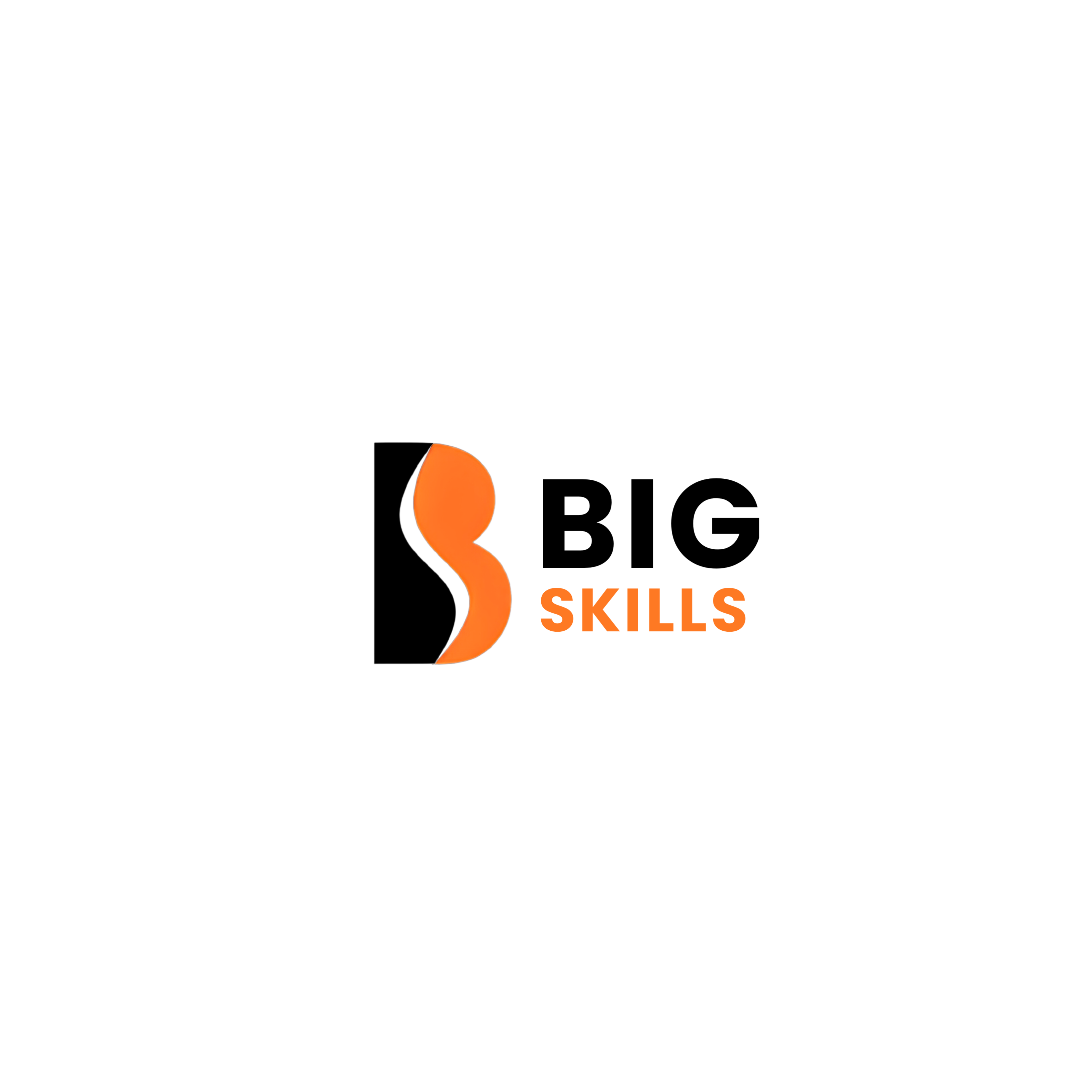 BigSkills